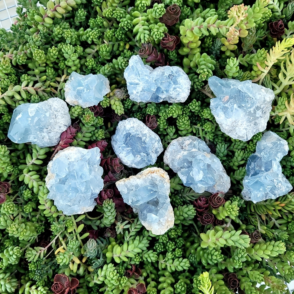 Blue Celestite mini clusters